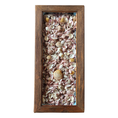 Mesa-Centro-Madeira-Cumaru-Conchas-Demolicao-3 Mesa-Centro-Madeira-Cumaru-Conchas-Demolicao-3